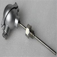帶赫斯(sī)曼接頭型PT100熱電阻(zu)溫度傳感器
