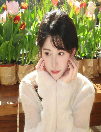 2026贺岁档《美洲豹的生存挑战》：年度压轴作品分析，蓝光原盘