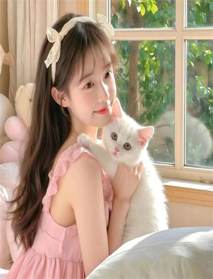 魔屋艺术价值耐人寻味的：专业角度评价与艺术成就分析，免费观看